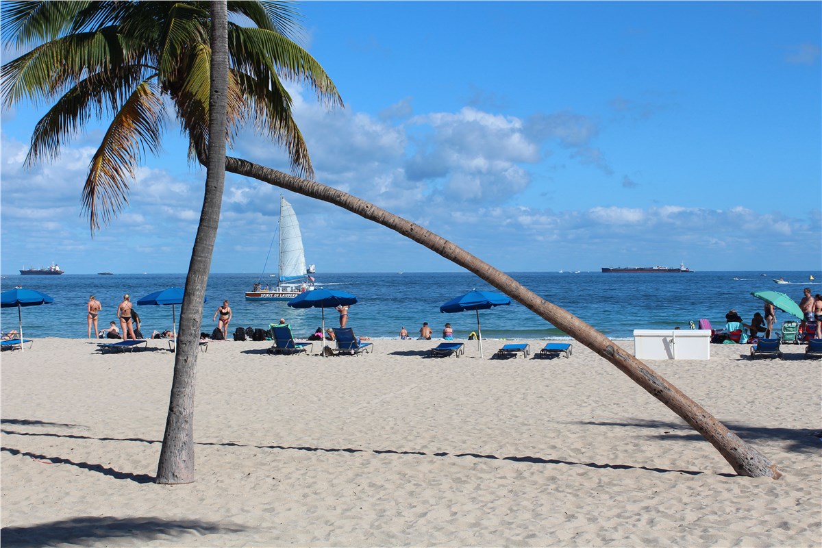 Sunny beach scene with a leaning palm tree alongside sunbathers, blue umbrellas, and boats on the water.
